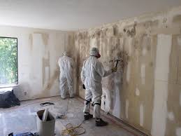 Best Biohazard Mold Removal  in Fairfax Station, VA